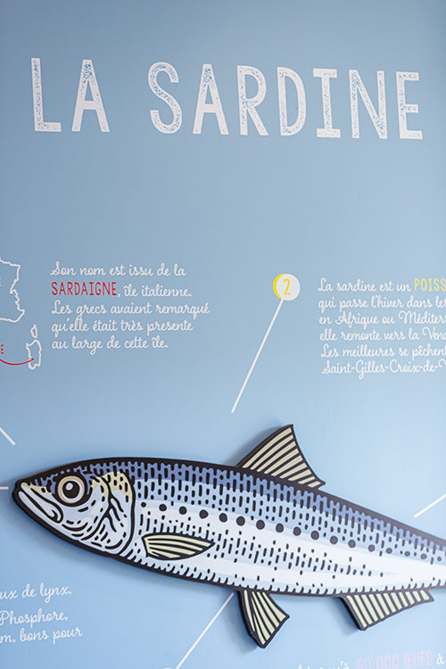 Sardinen aus Saint-Gilles-Croix-de-Vie