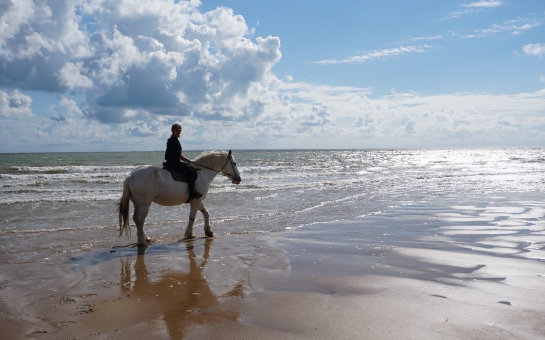 6 Tipps für die Region Pays de la Loire an der französischen Atlantikküste